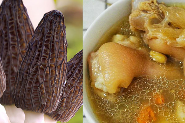 羊肚菌可以放豬腳燉嗎 羊肚菌可以放豬腳燉嗎