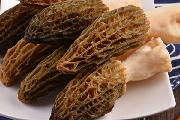 羊肚菌可以涮著吃嗎，羊肚菌能放豬腳燉嗎