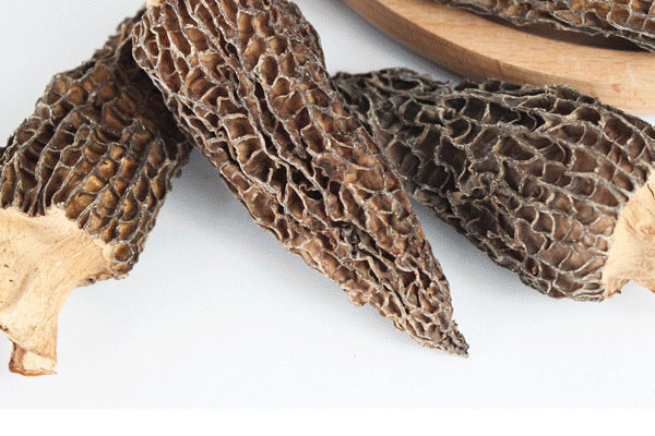 干羊肚菌的吃法和用量，羊肚菌炒什么菜最好吃
