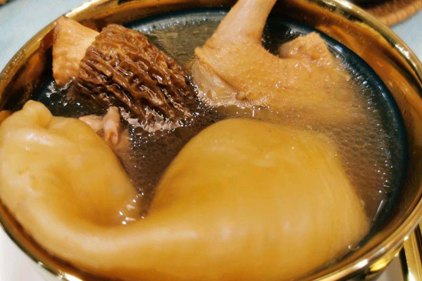 羊肚菌燉鴿子有哪些功效作用 羊肚菌燉鴿子有哪些功效作用