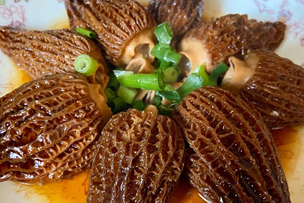 蒸羊肚菌孕婦能吃嗎 蒸羊肚菌孕婦能吃嗎