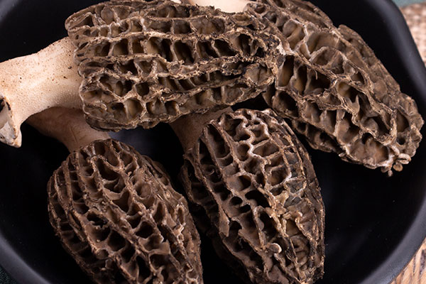 羊肚菌什么時(shí)候吃效果最好，羊肚菌有必要吃野生的嗎