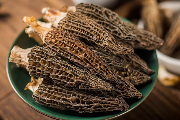 羊肚菌有沒有必要吃野生的 羊肚菌有沒有必要吃野生的