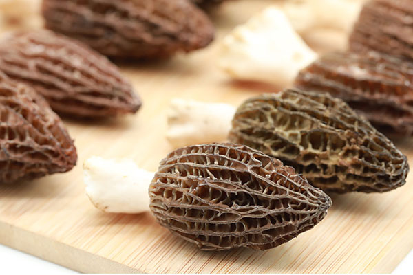 沒有熟的羊肚菌吃了會怎樣