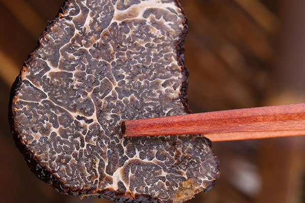 黑松露為什么是黑色的，吃黑松露能喝酒嗎