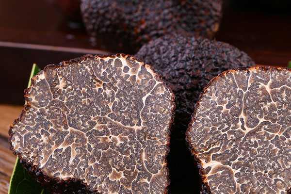 吃黑松露可以喝酒嗎 吃黑松露可以喝酒嗎