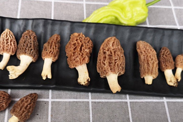 羊肚菌菌霜怎么除掉，新鮮羊肚菌容易煮熟嗎