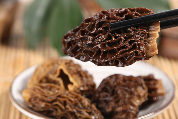 羊肚菌貴的原因 羊肚菌貴的原因