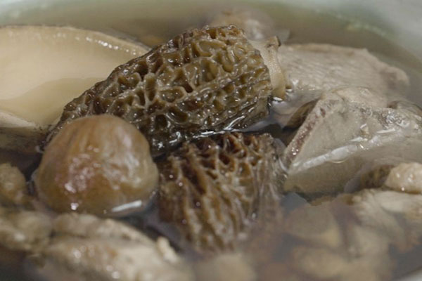 羊肚菌燉水鴨的功效和作用 羊肚菌燉水鴨的功效和作用