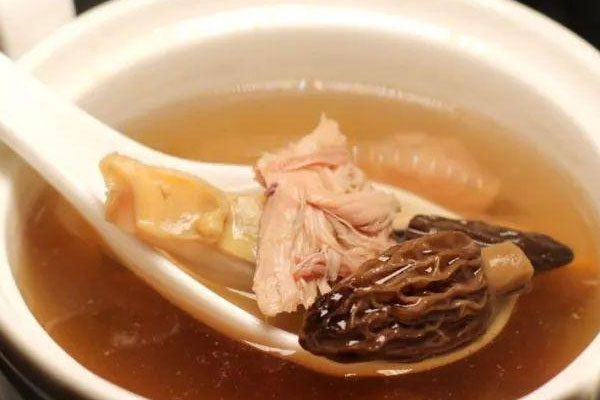 羊肚菌響螺花膠湯的作用 羊肚菌響螺花膠湯的作用