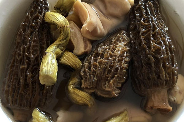 羊肚菌石斛瘦肉湯的食用禁忌 羊肚菌石斛瘦肉湯的食用禁忌