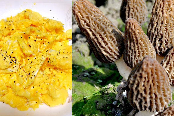 羊肚菌炒雞蛋怎么炒，羊肚菌炒多久能熟