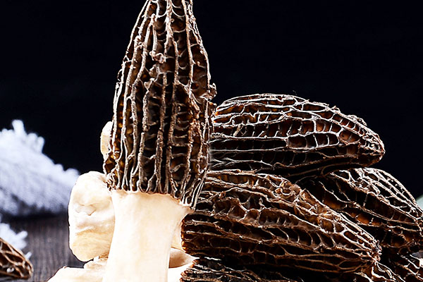 羊肚菌早上吃還是晚上吃好 羊肚菌早上吃還是晚上吃好