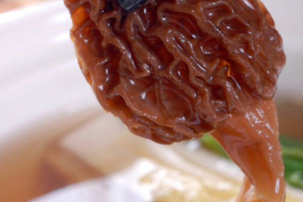 每次吃羊肚菌就胃痛 每次吃羊肚菌就胃痛