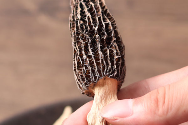 吃羊肚菌會不會拉黑便 吃羊肚菌會不會拉黑便