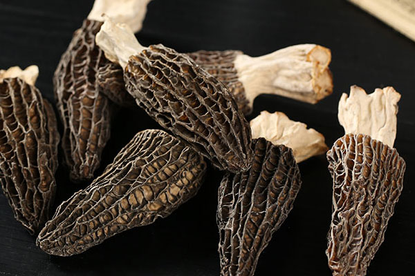 小孩吃羊肚菌會不會早熟 小孩吃羊肚菌會不會早熟