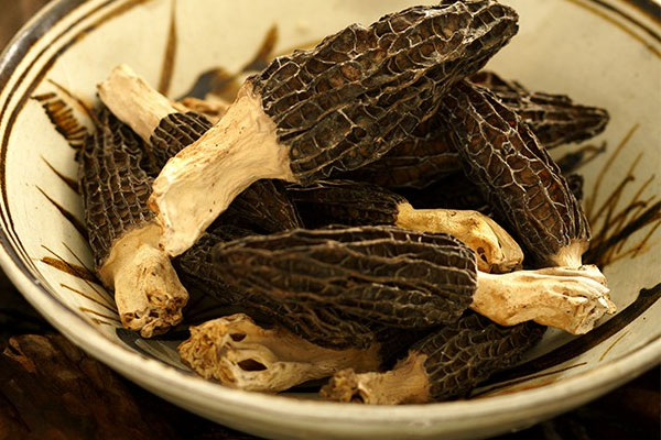 羊肚菌對肺癌有效果嗎 羊肚菌對肺癌有效果嗎