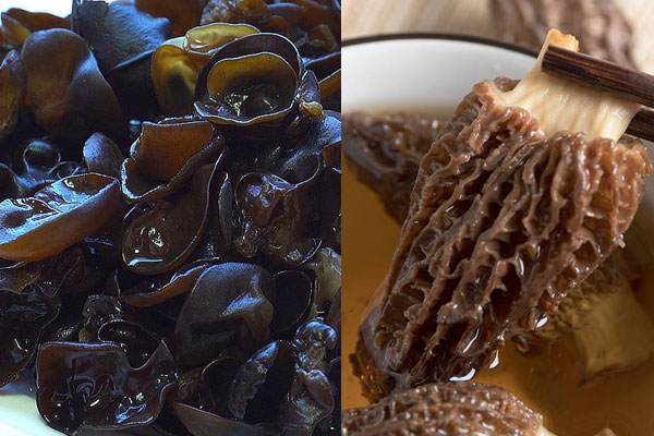 木耳可以和羊肚菌一起吃嗎 木耳可以和羊肚菌一起吃嗎