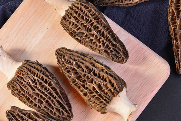 吃羊肚菌有哪些食用禁忌 吃羊肚菌有哪些食用禁忌