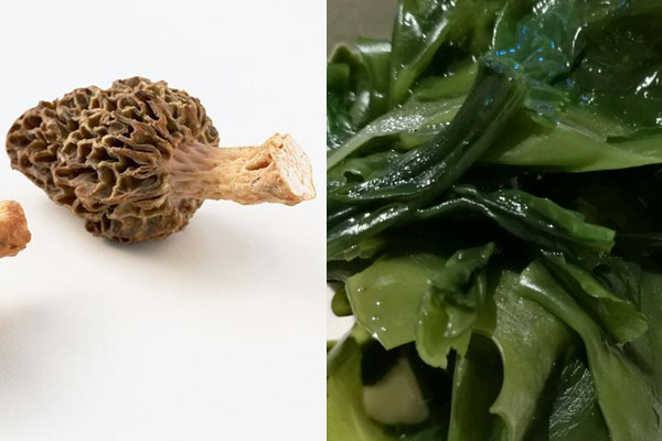 羊肚菌和海帶能一起吃嗎 羊肚菌和海帶能一起吃嗎
