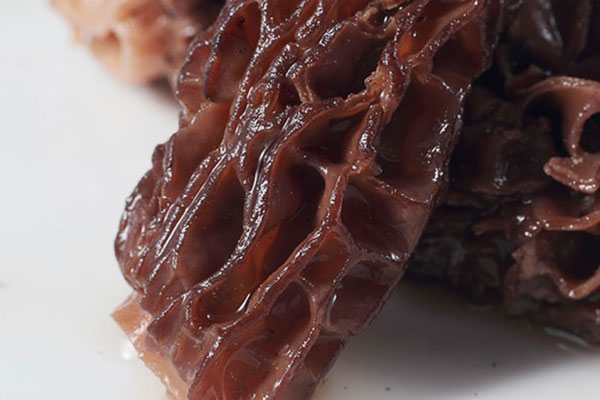 甲狀腺炎可以吃羊肚菌嗎，羊肚菌能治肺癌嗎