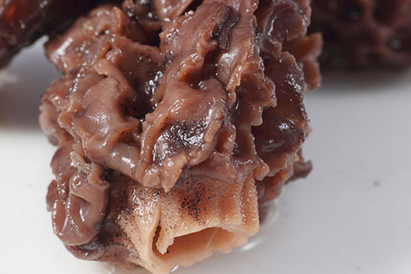 腦梗病人能吃羊肚菌嗎 腦梗病人能吃羊肚菌嗎