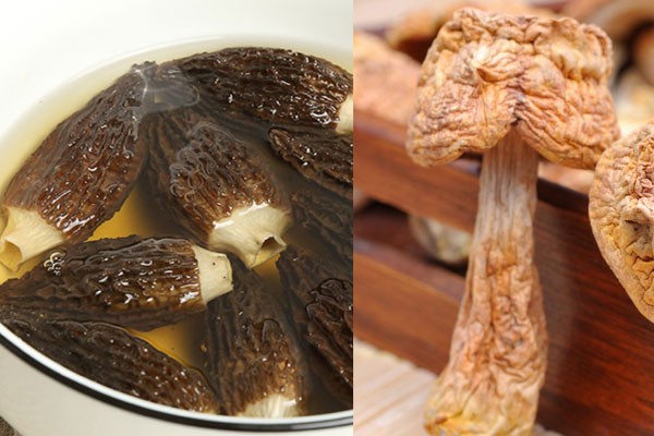 羊肚菌和姬松茸的禁忌，羊肚菌和姬松茸哪個貴