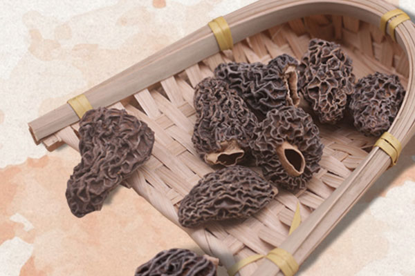 小孩吃羊肚菌的功效與作用，羊肚菌的柄可以吃嗎