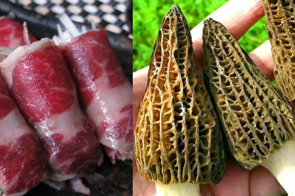 羊肚菌牛肉卷的做法，哪些人適合吃呢