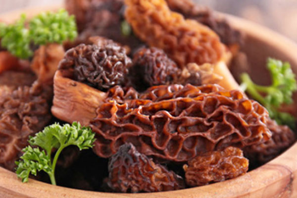 羊肚菌牛肉卷的適合人群 羊肚菌牛肉卷的適合人群