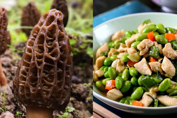 羊肚菌毛豆雞丁怎么做，具有哪些功效作用