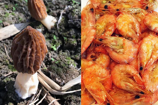 羊肚菌油爆蝦的做法，哪些人不能吃