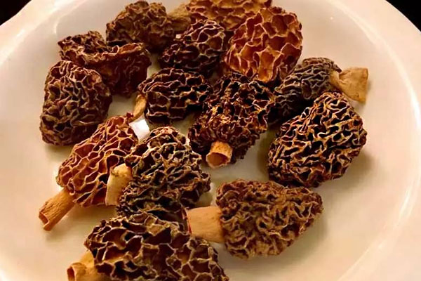 羊肚菌干煸豆角要焯水嗎 羊肚菌干煸豆角要焯水嗎