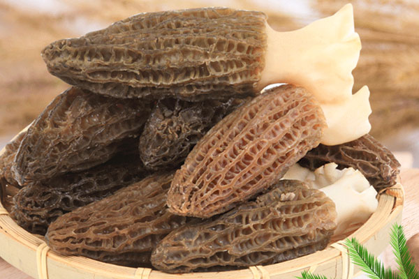 羊肚菌蔬菜炒面的熱量高不高 羊肚菌蔬菜炒面的熱量高不高