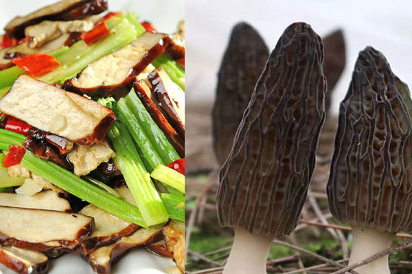 羊肚菌炒芹菜香干的做法，要焯水嗎