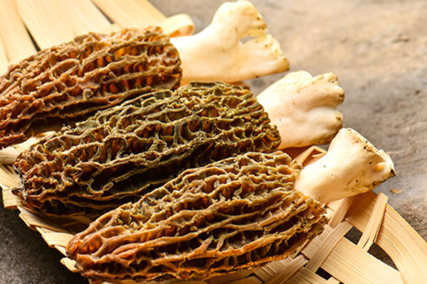 羊肚菌炒芹菜香干的功效作用 羊肚菌炒芹菜香干的功效作用