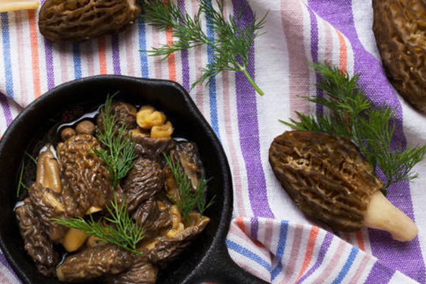 羊肚菌炒芹菜香干需要焯水嗎 羊肚菌炒芹菜香干需要焯水嗎