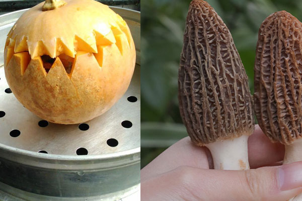 羊肚菌瘦肉南瓜盅怎么做，要蒸多久才熟