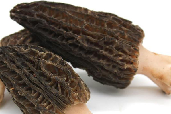 羊肚菌茶樹菇墨魚湯懷孕可以吃嗎 羊肚菌茶樹菇墨魚湯懷孕可以吃嗎