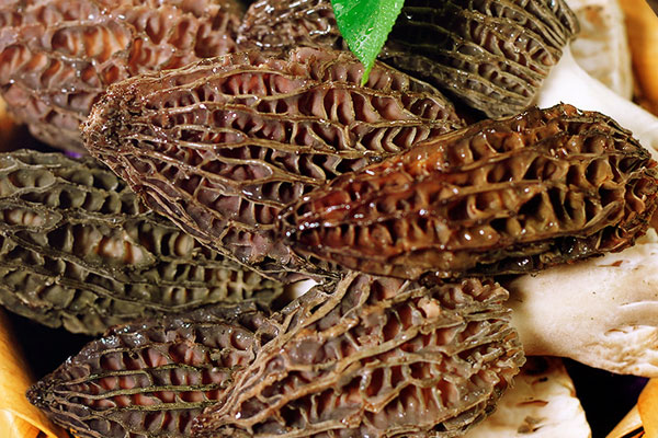 吃羊肚菌會不會失眠 吃羊肚菌會不會失眠