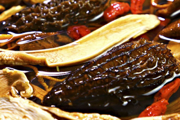 羊肚菌沒熟可以吃嗎 羊肚菌沒熟可以吃嗎