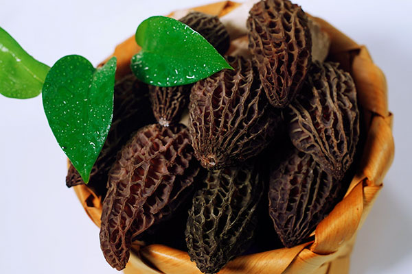 長(zhǎng)水痘能吃羊肚菌嗎 長(zhǎng)水痘能吃羊肚菌嗎