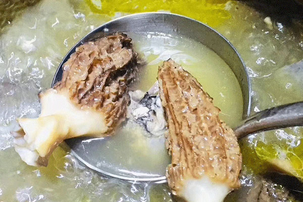 我國(guó)最好的羊肚菌在哪里 我國(guó)最好的羊肚菌在哪里