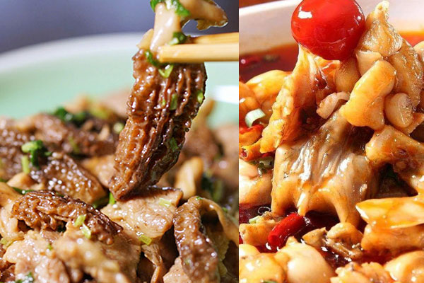 羊肚菌紅燒蛙肉的功效作用，孕婦可以吃嗎