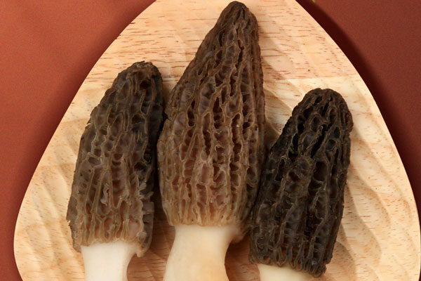 羊肚菌紅燒蛙肉的做法 羊肚菌紅燒蛙肉的做法