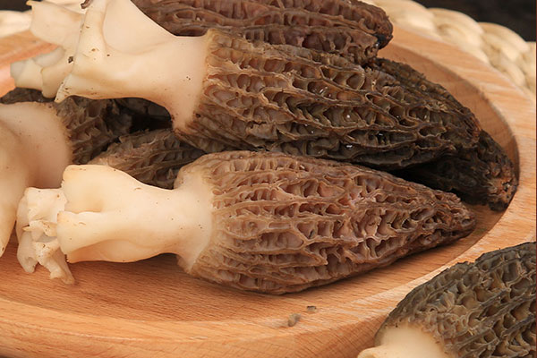 寶寶吃干的羊肚菌好還是新鮮的好