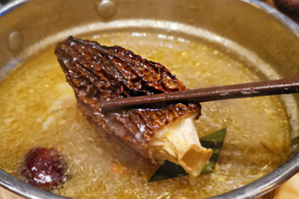 寶寶吃羊肚菌的營(yíng)養(yǎng)價(jià)值 寶寶吃羊肚菌的營(yíng)養(yǎng)價(jià)值