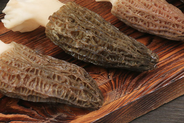 半野生羊肚菌是什么意思，特級羊肚菌是什么意思