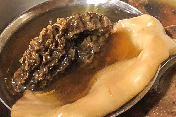 野生羊肚菌的生長環(huán)境 野生羊肚菌的生長環(huán)境