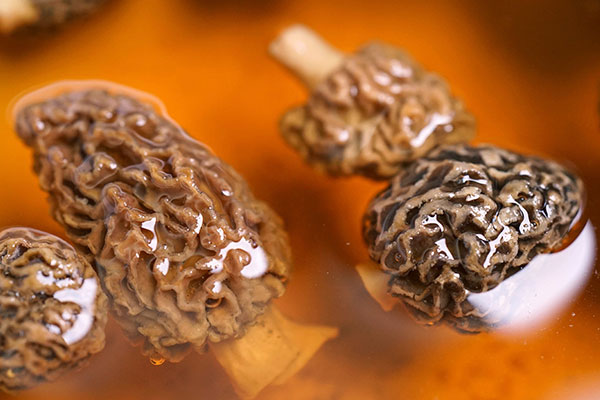 什么是特級(jí)羊肚菌 什么是特級(jí)羊肚菌